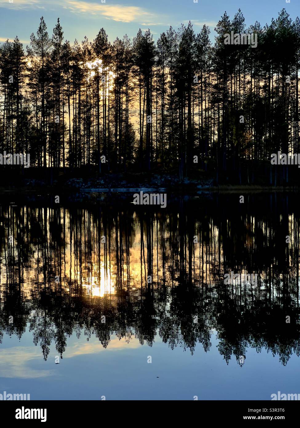 Il tramonto dietro gli alberi si riflette nel lago Foto Stock