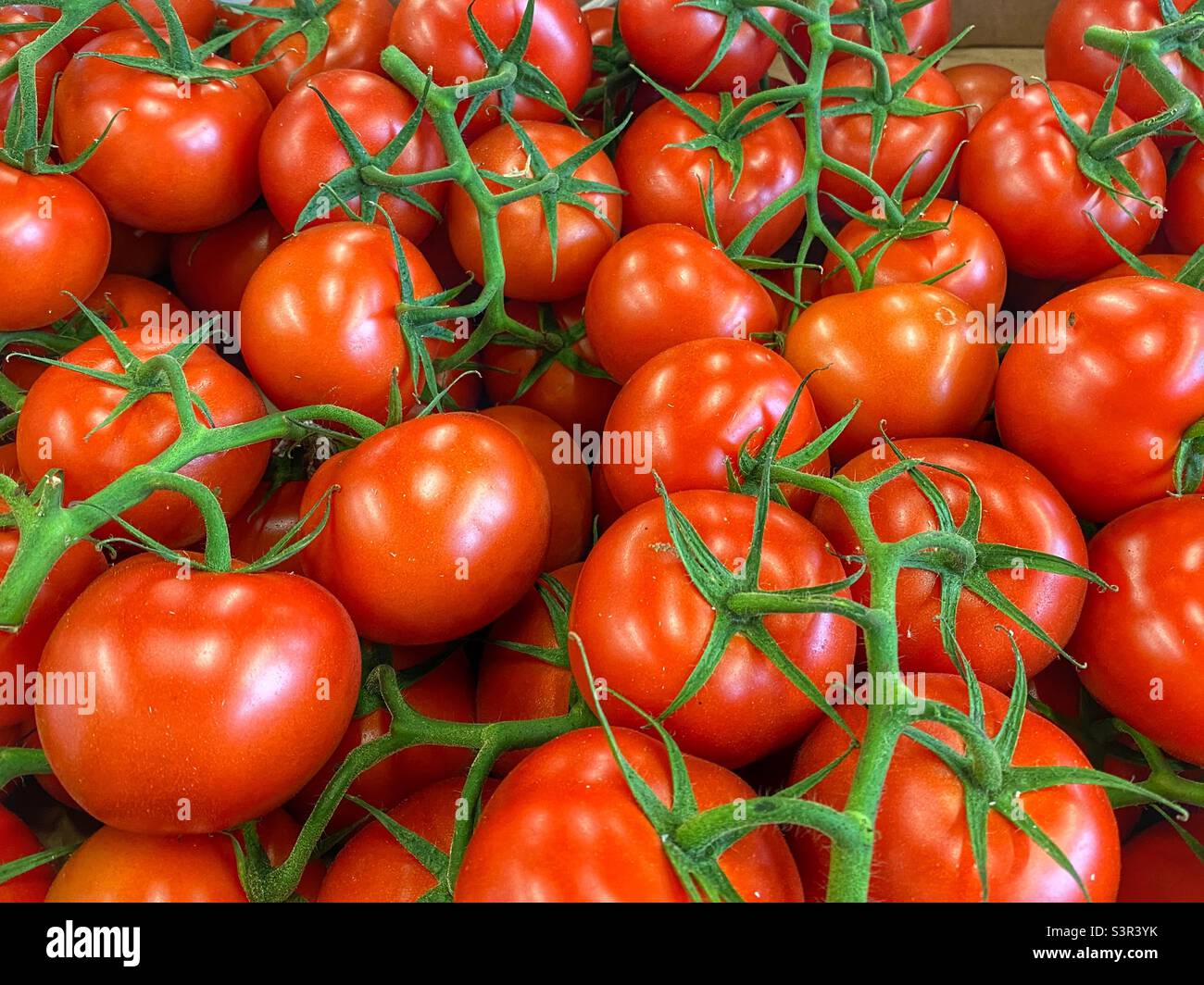 Pomodori al mercato agricolo - Immagine stock catturata con smartphone