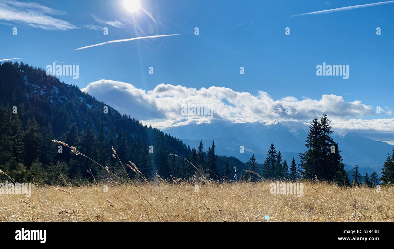 Giornata di sole la domenica a Poiana Brasov Foto Stock