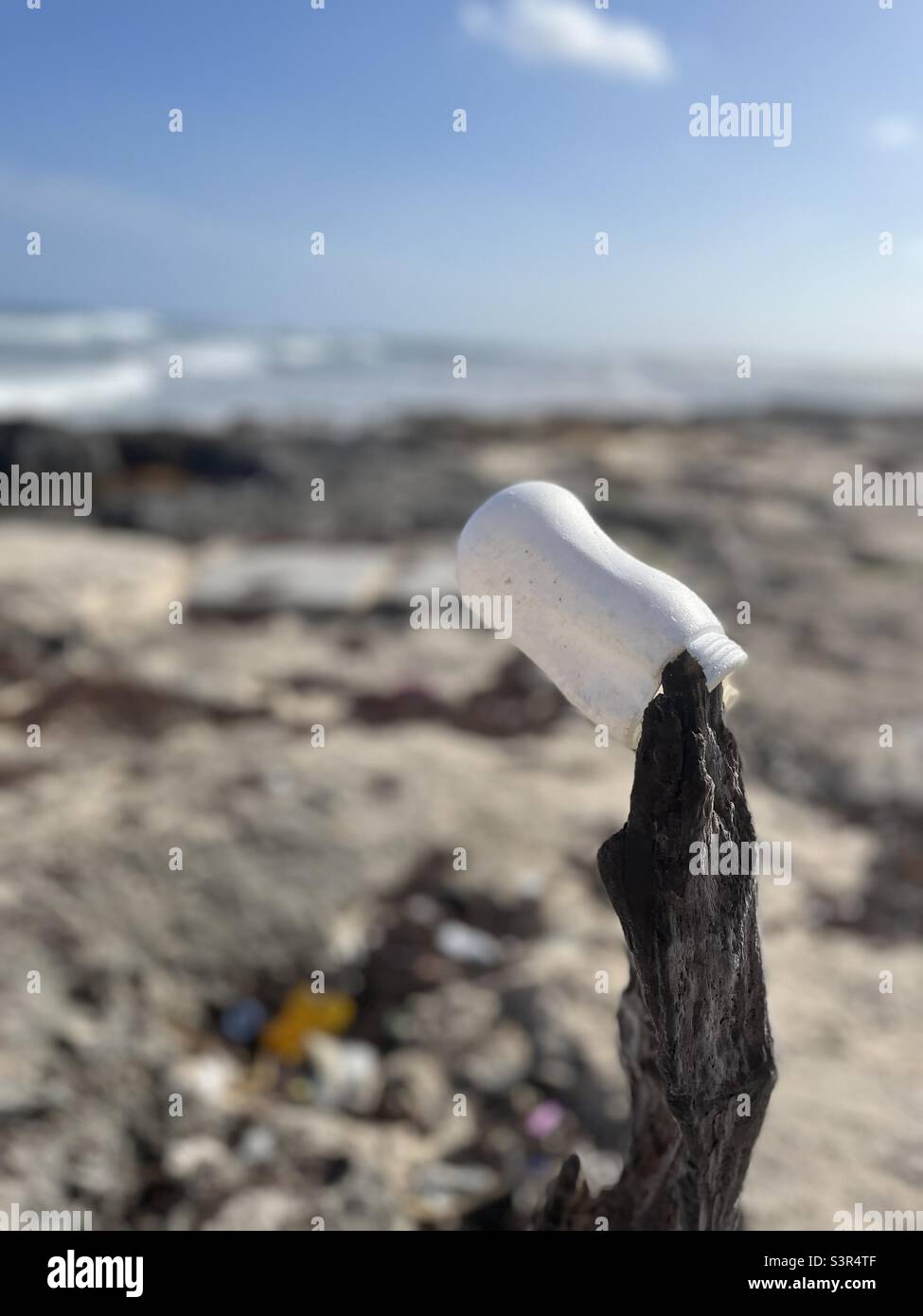 I rifiuti si raccolgono sulla spiaggia e una bottiglia viene catturata sul legno di deriva sull'isola di Cozumel Messico Foto Stock
