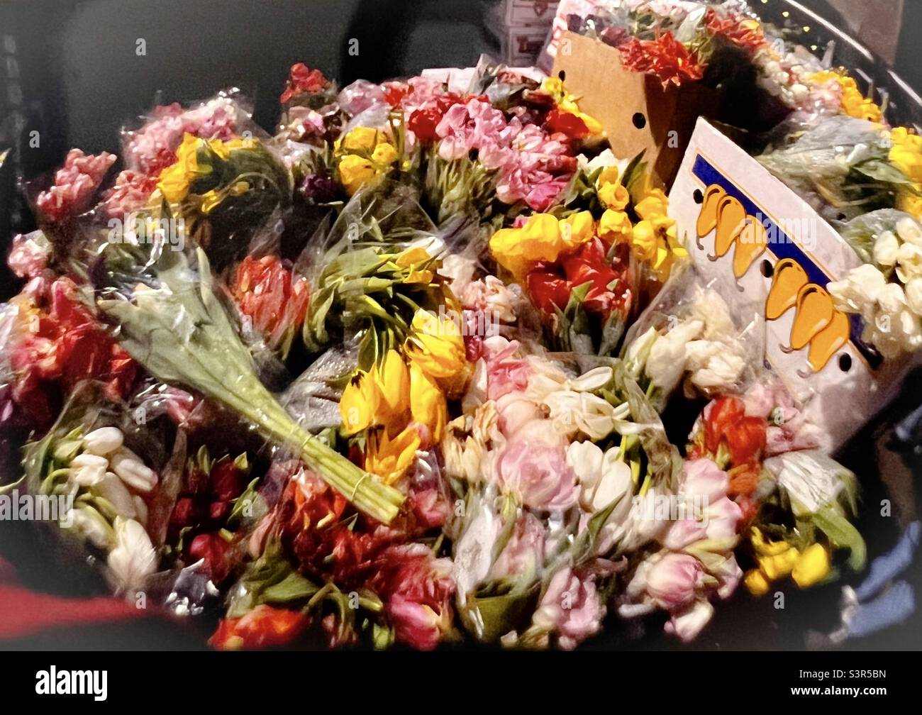 Mazzi di fiori in vendita all'aperto mercato Boston Foto Stock