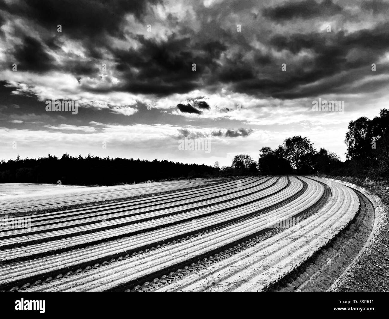 Terreno agricolo Sutton Heath Suffolk Inghilterra - Immagine stock catturata con smartphone