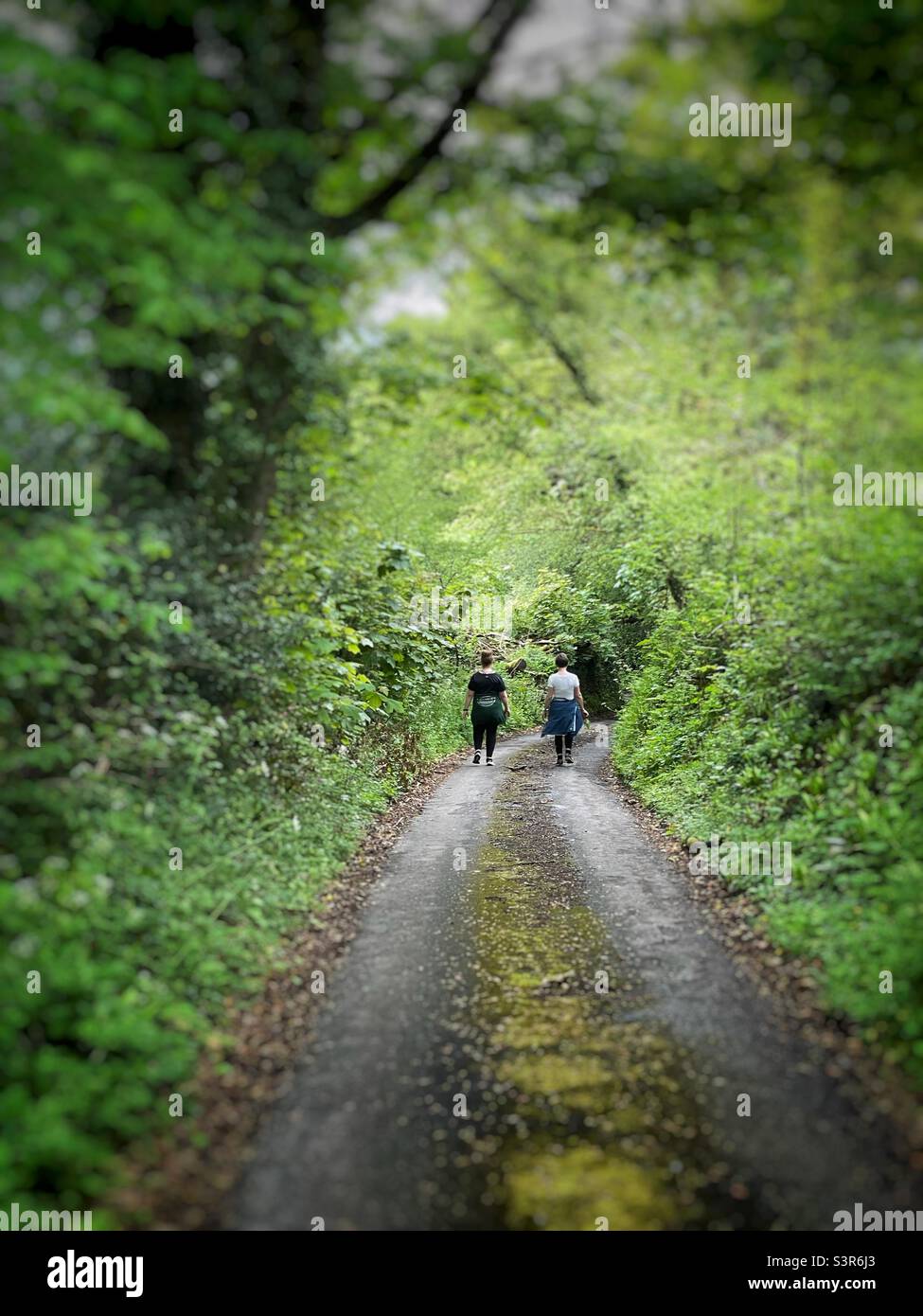 Due donne in una passeggiata lungo una corsia di campagna, all'inizio di maggio. Foto Stock