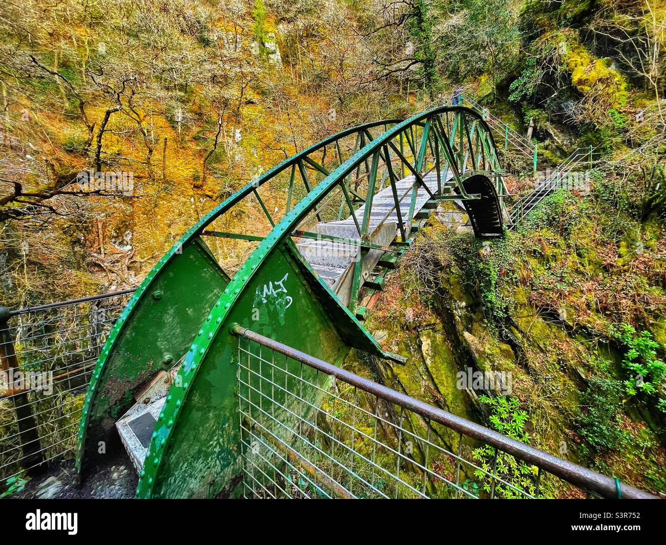 Ponte di ferro sul fiume Mynach alle cascate del ponte del Diavolo, Cerediaion, Galles, aprile. Foto Stock