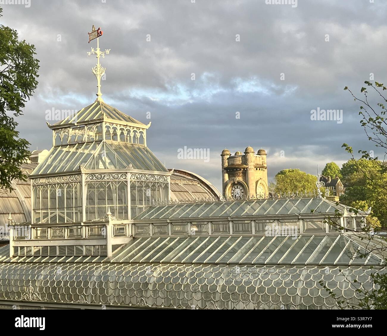 Horniman Museum conservatorio e torre dell'orologio al tramonto, Forest Hill, Londra Foto Stock
