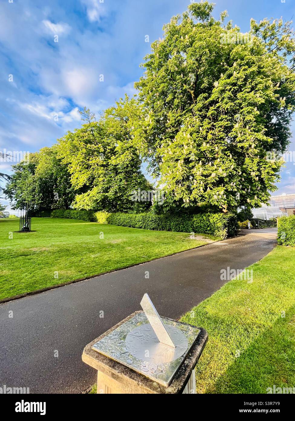Sun dial e alberi di castagno fiorito a Londra - Immagine stock catturata con smartphone