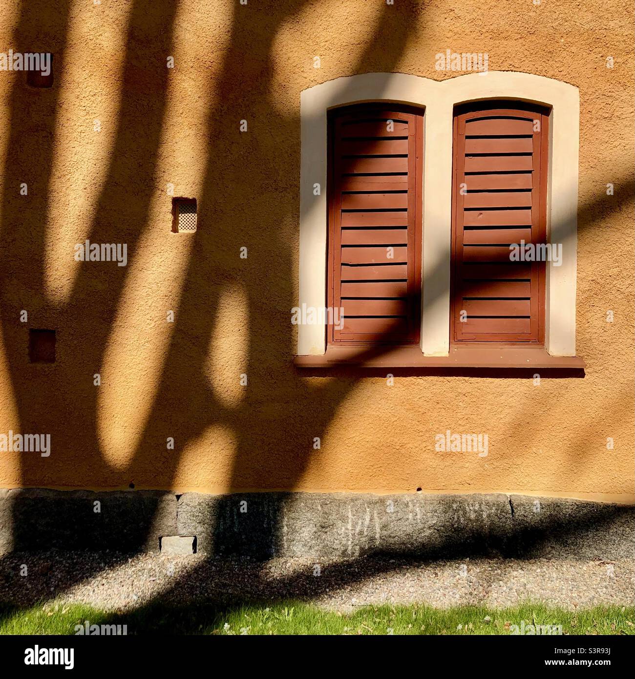 Ombre di albero su un muro. - Immagine stock catturata con smartphone