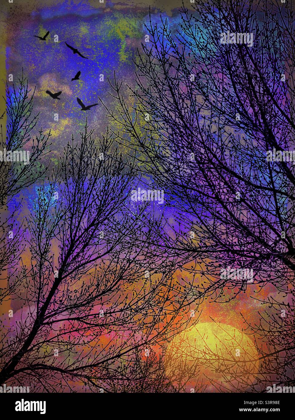 Alberi primaverili in silhouette in Utah, USA. In origine, la foto è stata scattata durante la luce del giorno, ma è stata modificata digitalmente per aggiungere un sole che tramonta, effetti di colore, grunge texture e uccelli in volo. - Immagine stock catturata con smartphone