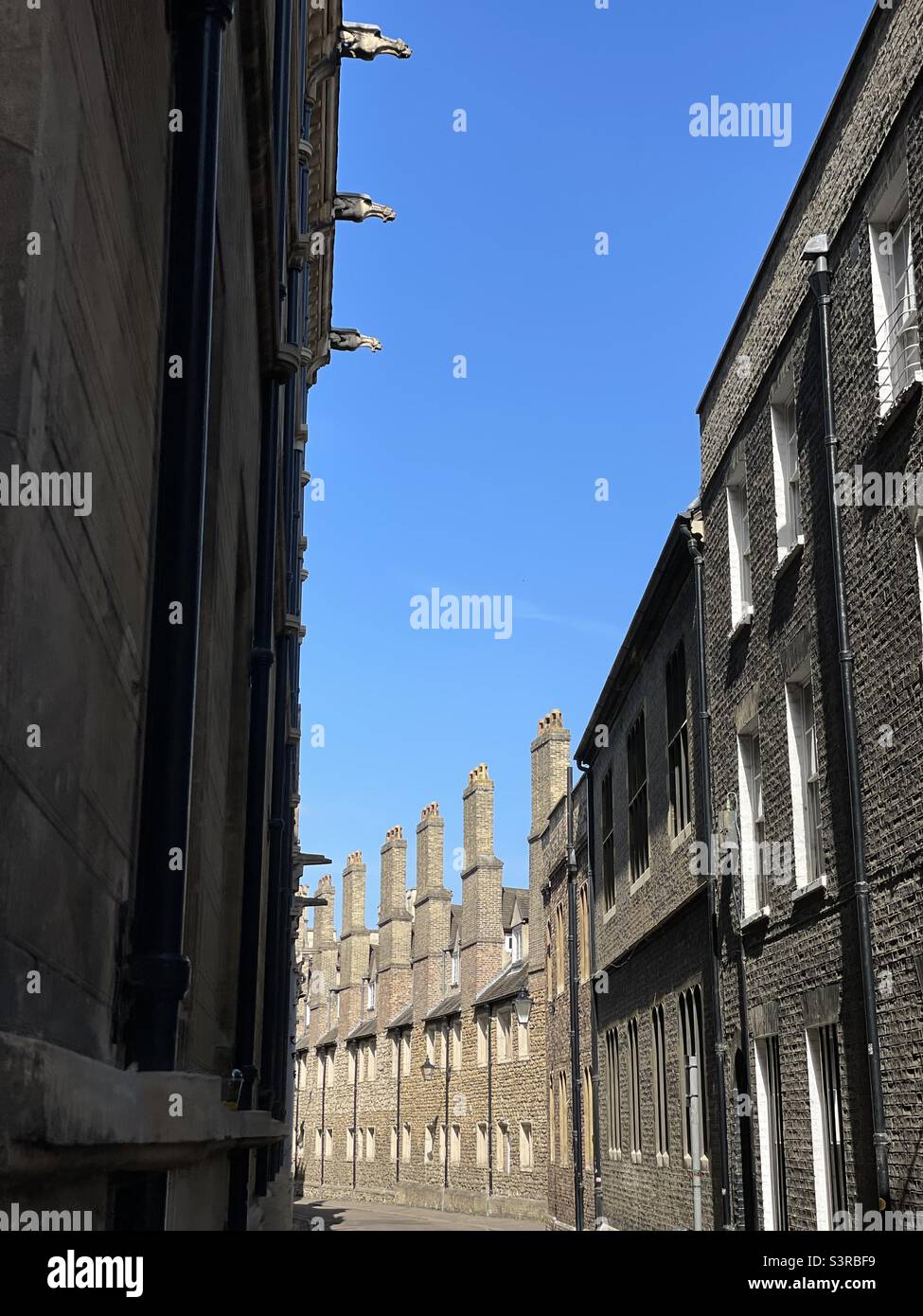 Trinity Lane Cambridge UK Chimneys Foto Stock