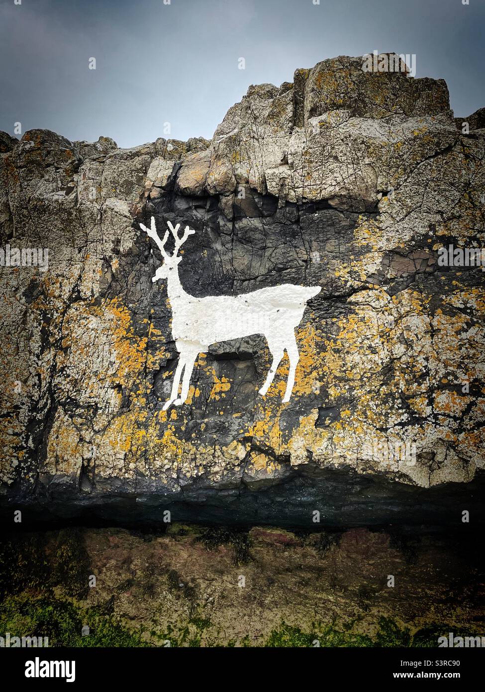 ‘The White Stag of Bambburgh’ il famoso White Stag dipinto di Bambburgh a Stags Rock, Bambburgh Beach, Northumberland Foto Stock