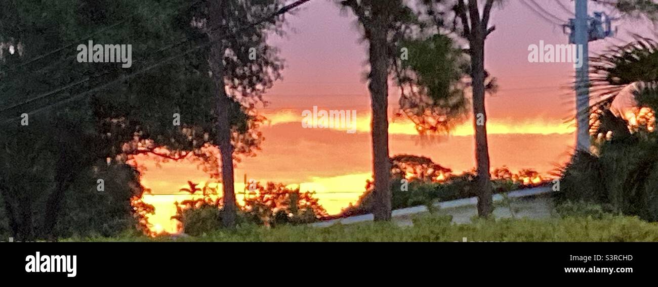Tramonto sul paesaggio della Florida - Immagine stock catturata con smartphone