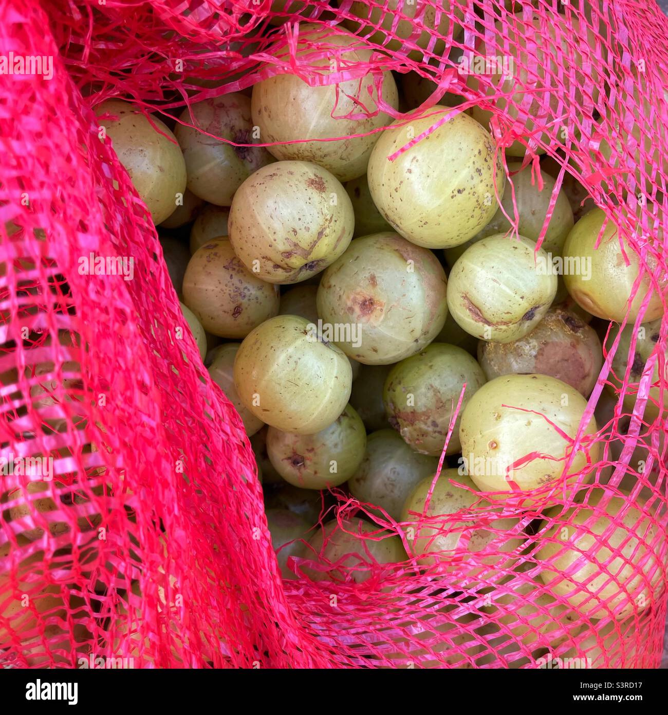 Frutti di uva spina in borsa gunny con rete Foto Stock