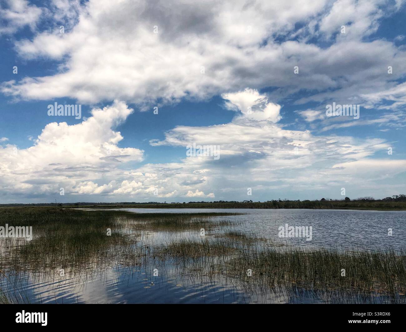 Palude di sale al St Marks National Wildlife Refuge, Florida Foto Stock