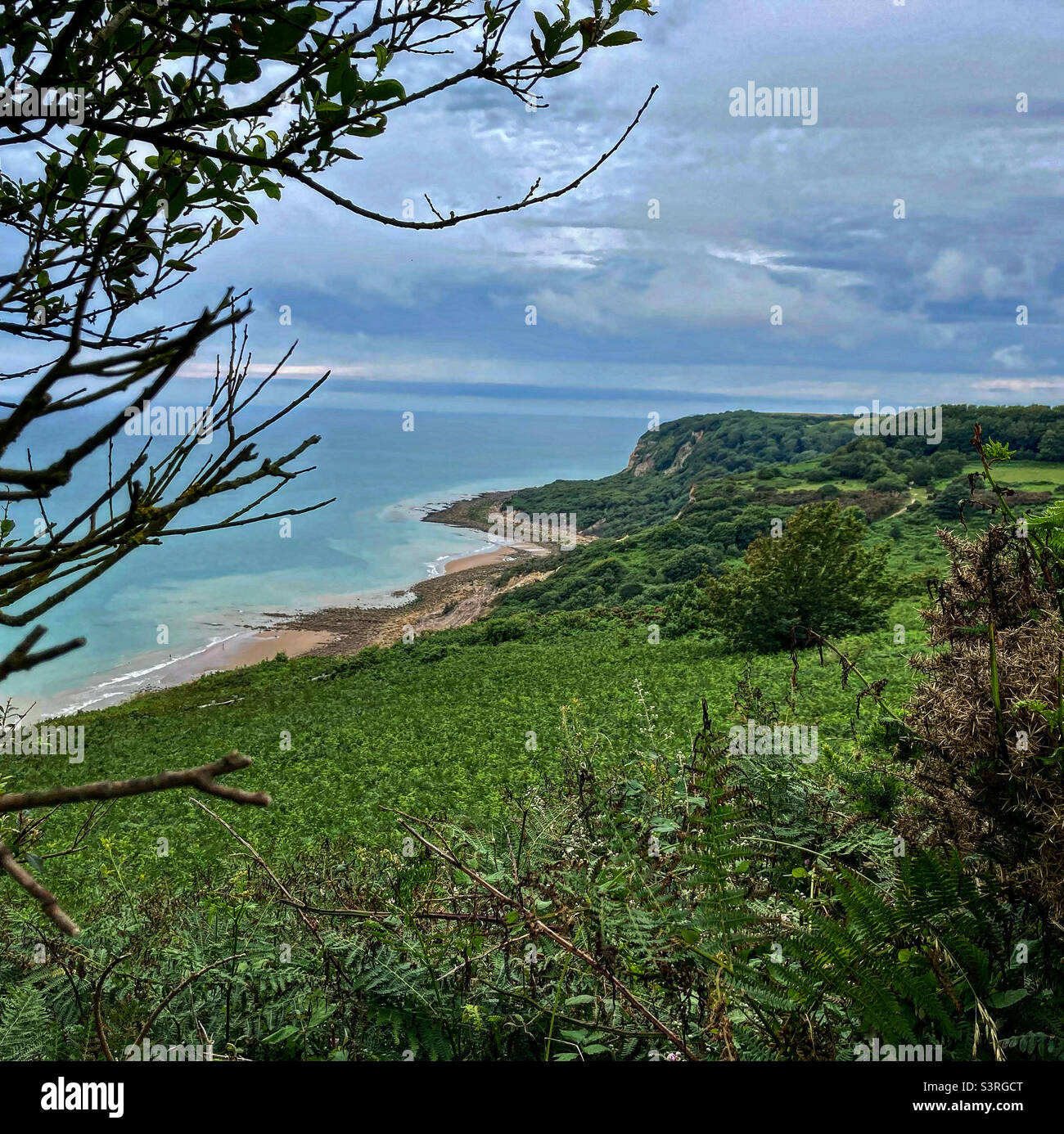 Costa vicino Hastings Foto Stock