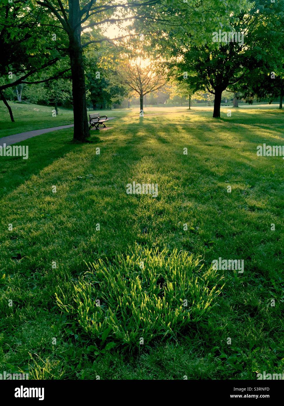 Mattina presto in una bella giornata di primavera. L'ora d'oro. Luogo perfetto per la meditazione, tranquilla contemplazione, o shin-rin yoku. Parco urbano. Ontario, Canada. Foto Stock