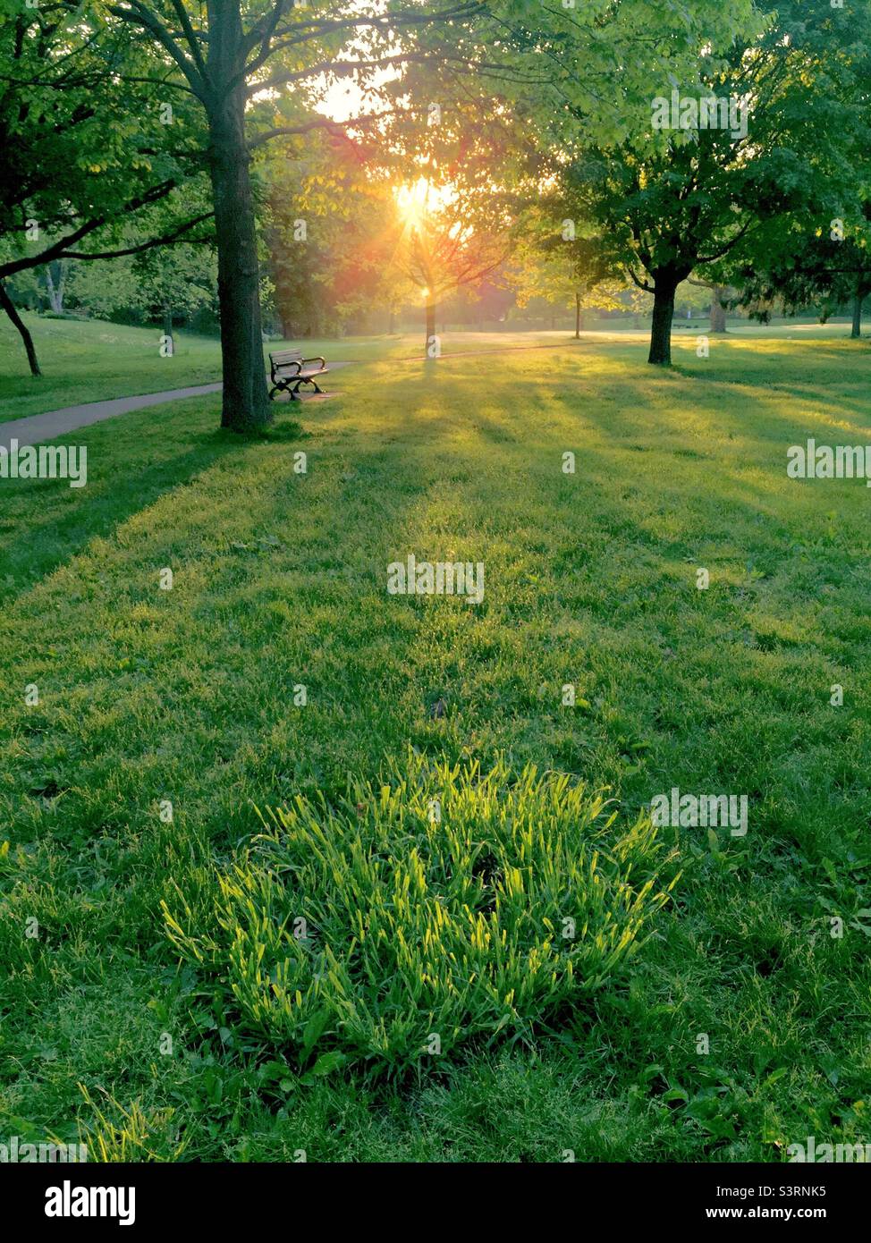 Alba in un parco urbano in primavera. La mattina mostra il giorno. Caldo bagliore su erba verde. Nessuna gente, joggers, camminatori del cane ancora. Ontario, Canada. Spazi verdi. Yoku Shin-rin. Foto Stock