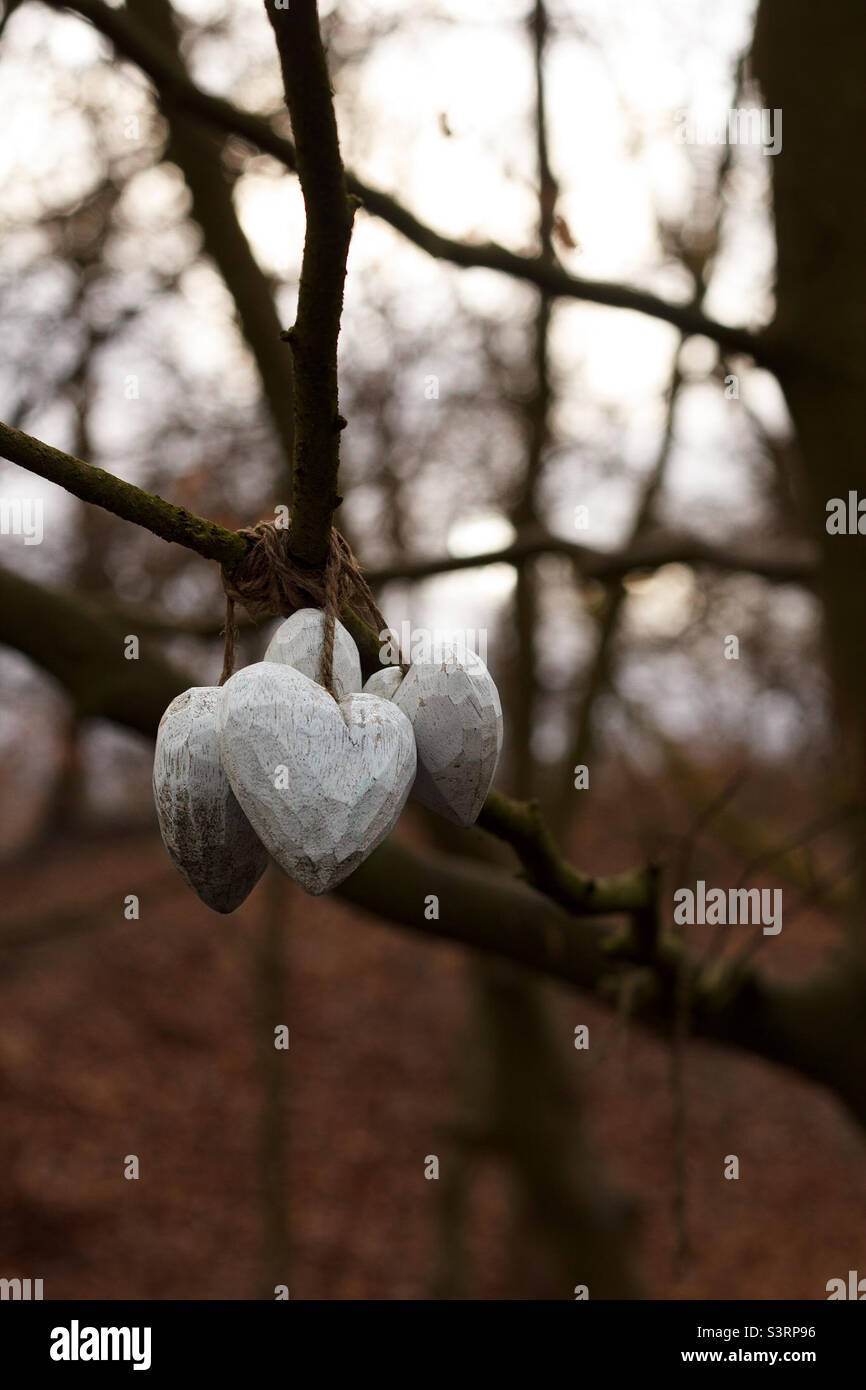 Pietre a forma di cuore legate ad un ramo d'albero durante l'autunno / caduta Foto Stock