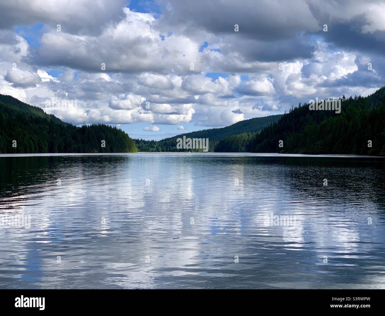 Lago della foresta pluviale Foto Stock