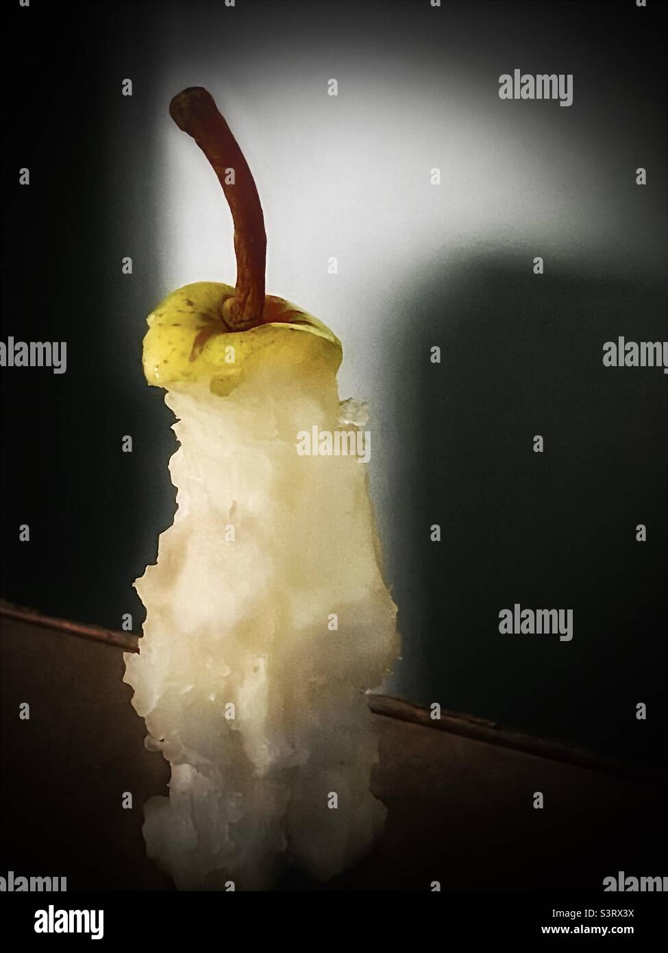 Immagine di una pera appena consumata. Foto Stock