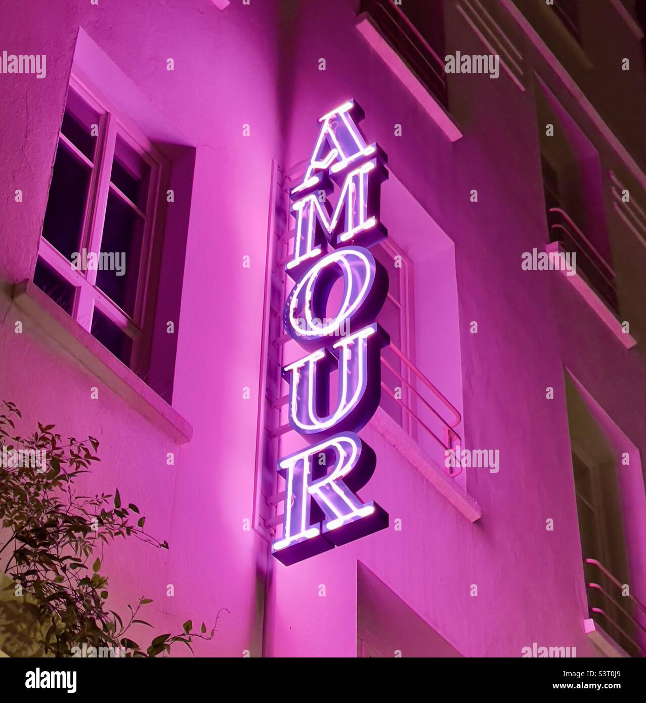 Cartello al neon con la parola "Amour" e luci di illuminazione rosa - Immagine stock catturata con smartphone