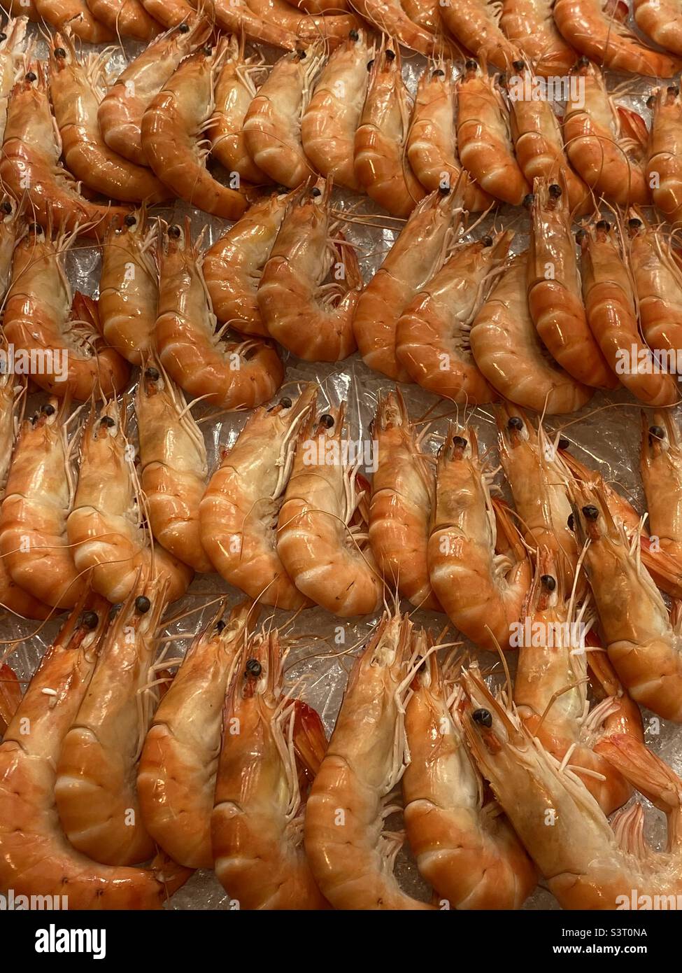 Gamberi R noi! - Immagine stock catturata con smartphone