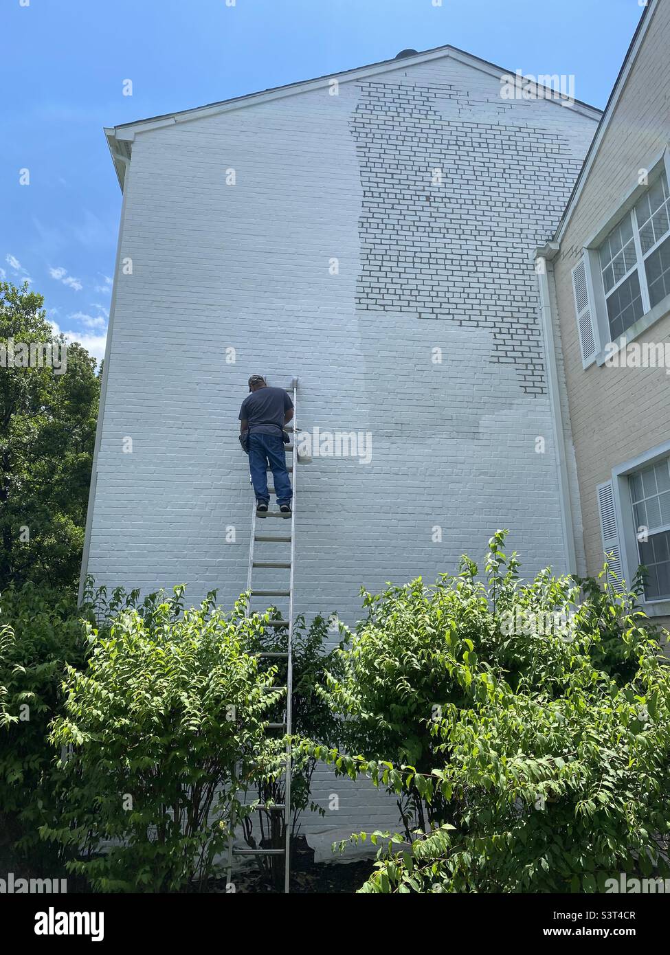 Un grande lavoro. Un uomo si erge su una scala alta che dipinge il lato di un edificio in mattoni. Foto Stock