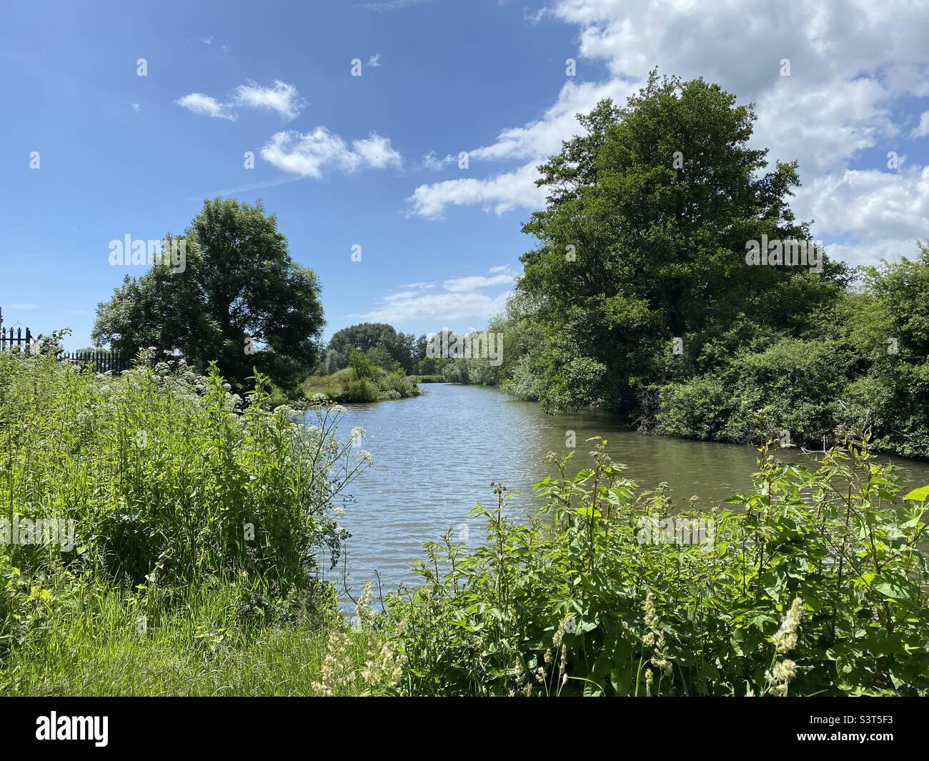 Bel fiume che scorre attraverso la verde campagna inglese Foto Stock