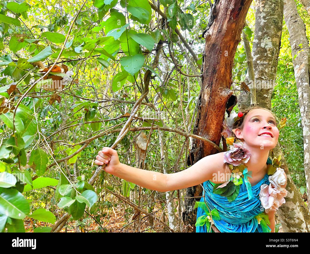 Fata nella foresta Foto Stock