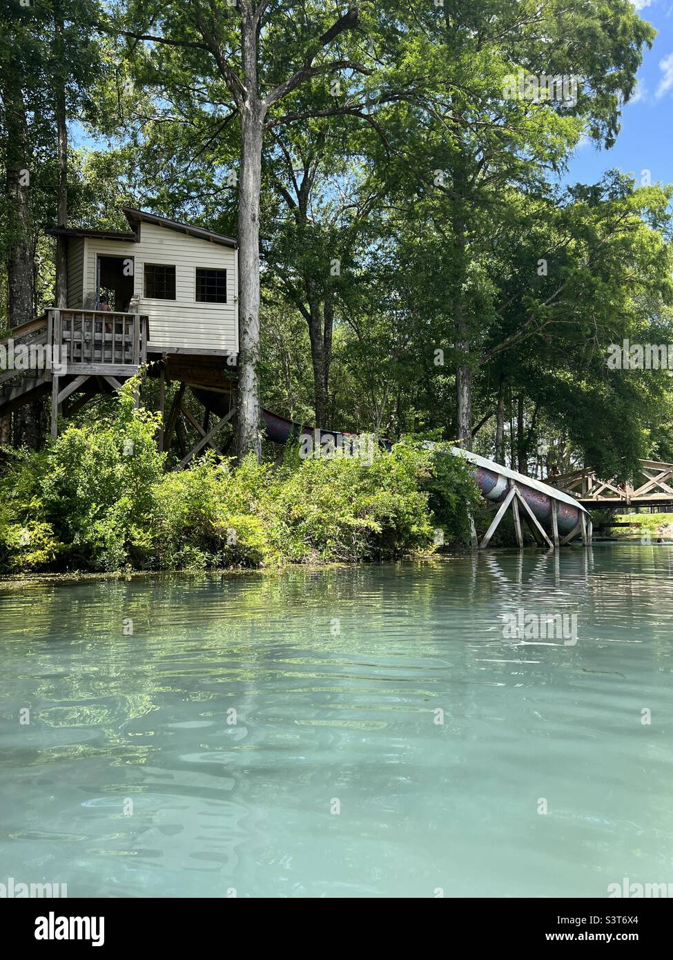 Treehouse sulle acque naturali della Florida - Immagine stock catturata con smartphone