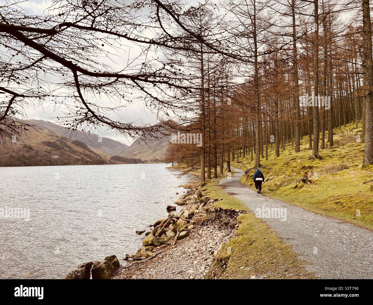 Una persona che cammina vicino a un lago Foto Stock