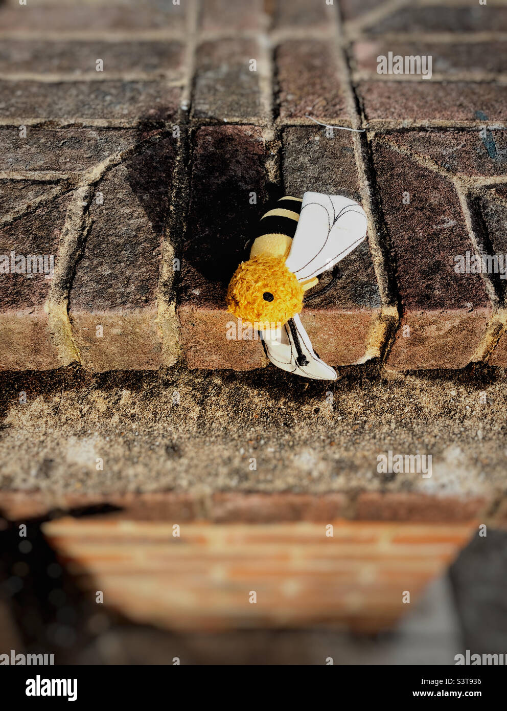 L'ape giocattolo abbandonata sul muro di mattoni il nostro sulla strada - Immagine stock catturata con smartphone