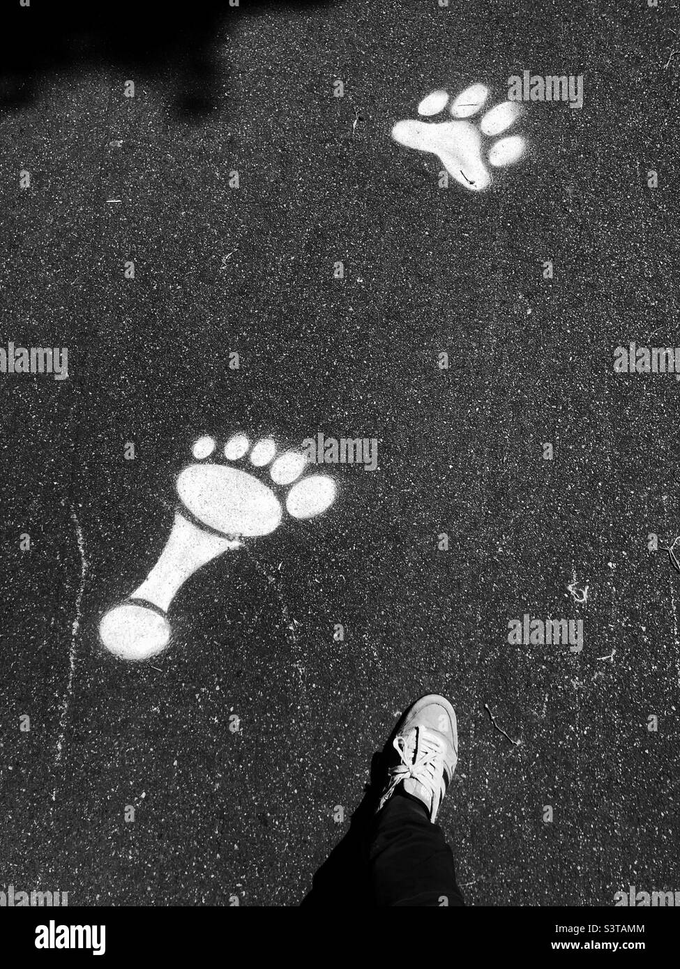 Stencil Footprint e paw print e un piede di persone Foto Stock