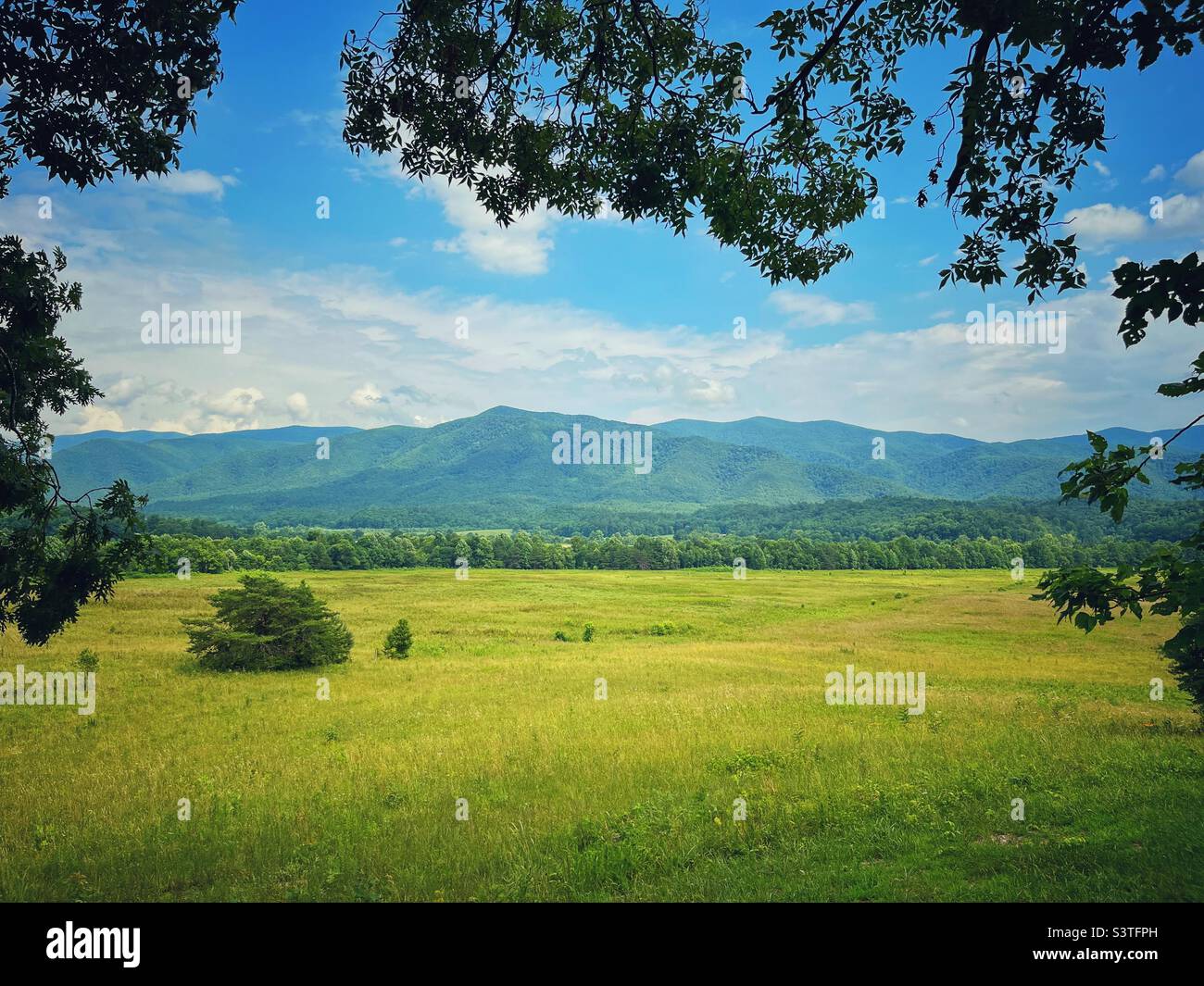 Campo e Montagne - Parco Nazionale delle Great Smoky Mountains Foto Stock