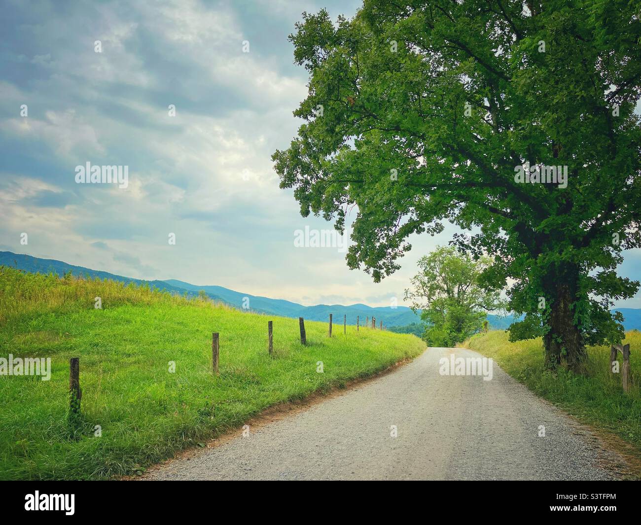 Una strada di ghiaia in una scena di campagna rurale - Parco Nazionale delle Great Smoky Mountains Foto Stock