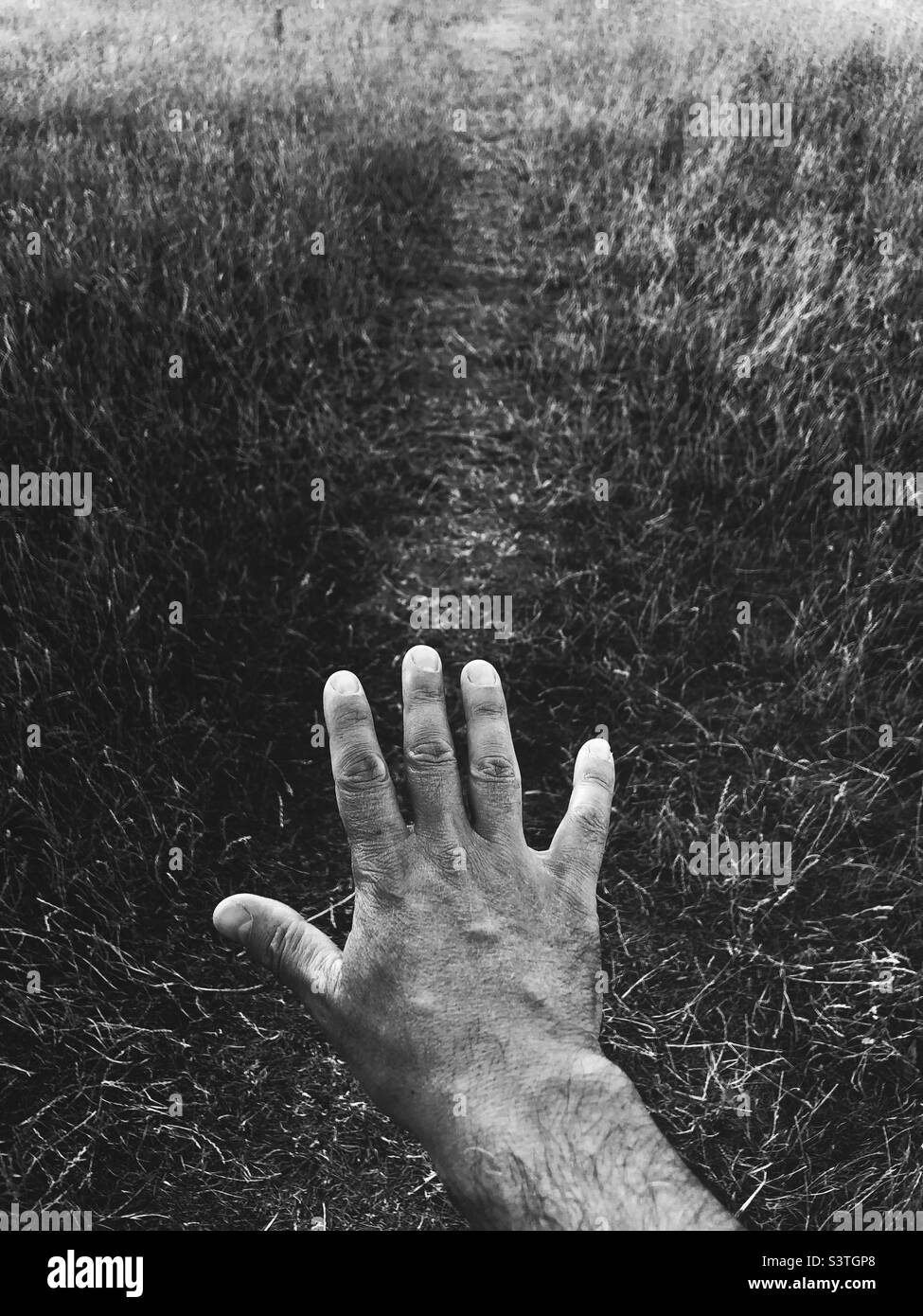 Mano contro campo essiccato Foto Stock