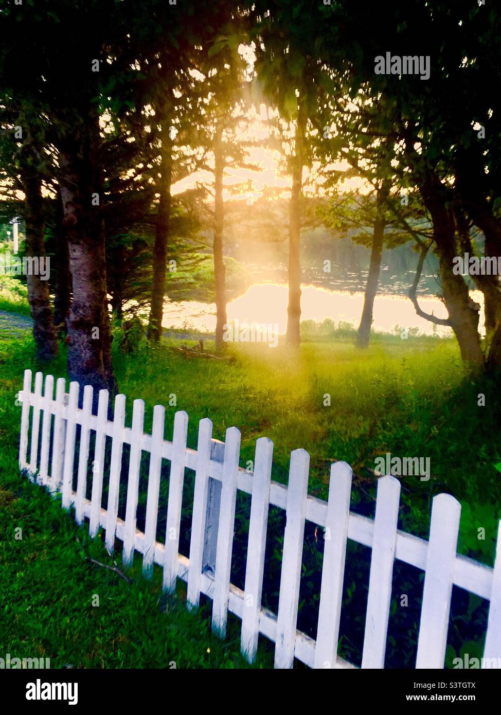 Tramonto sul lago e recinzione picket, Nuova Scozia, Canada. Sole che splende attraverso gli alberi. Tranquillo, marittimo, scenario di campagna. Foto Stock