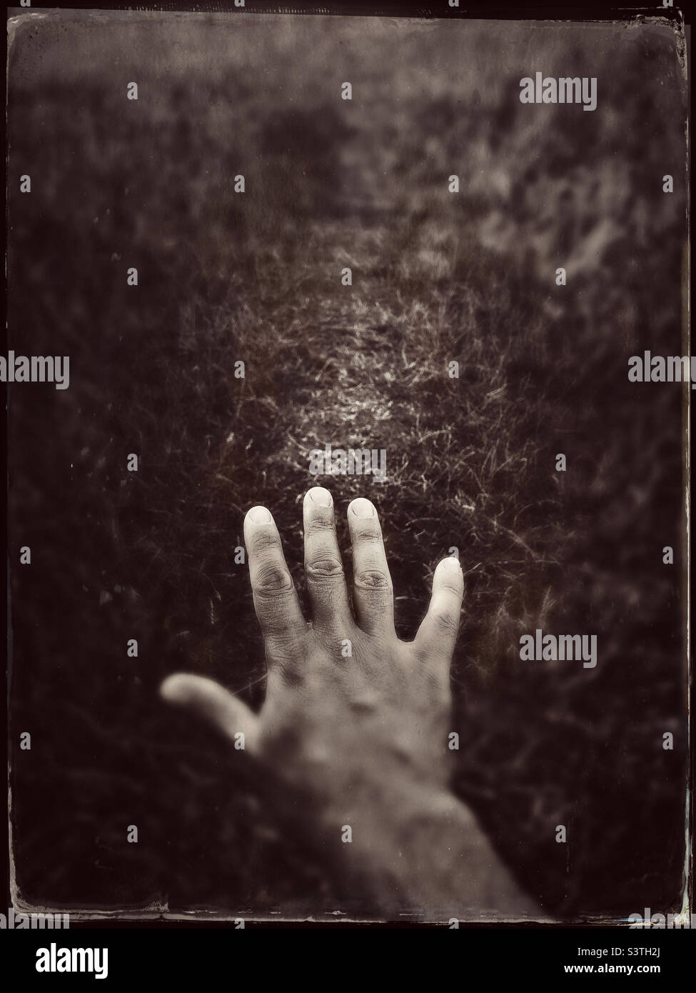 Immagine di una mano contro un campo. Editato per dare un aspetto di foto tintype vintage Foto Stock