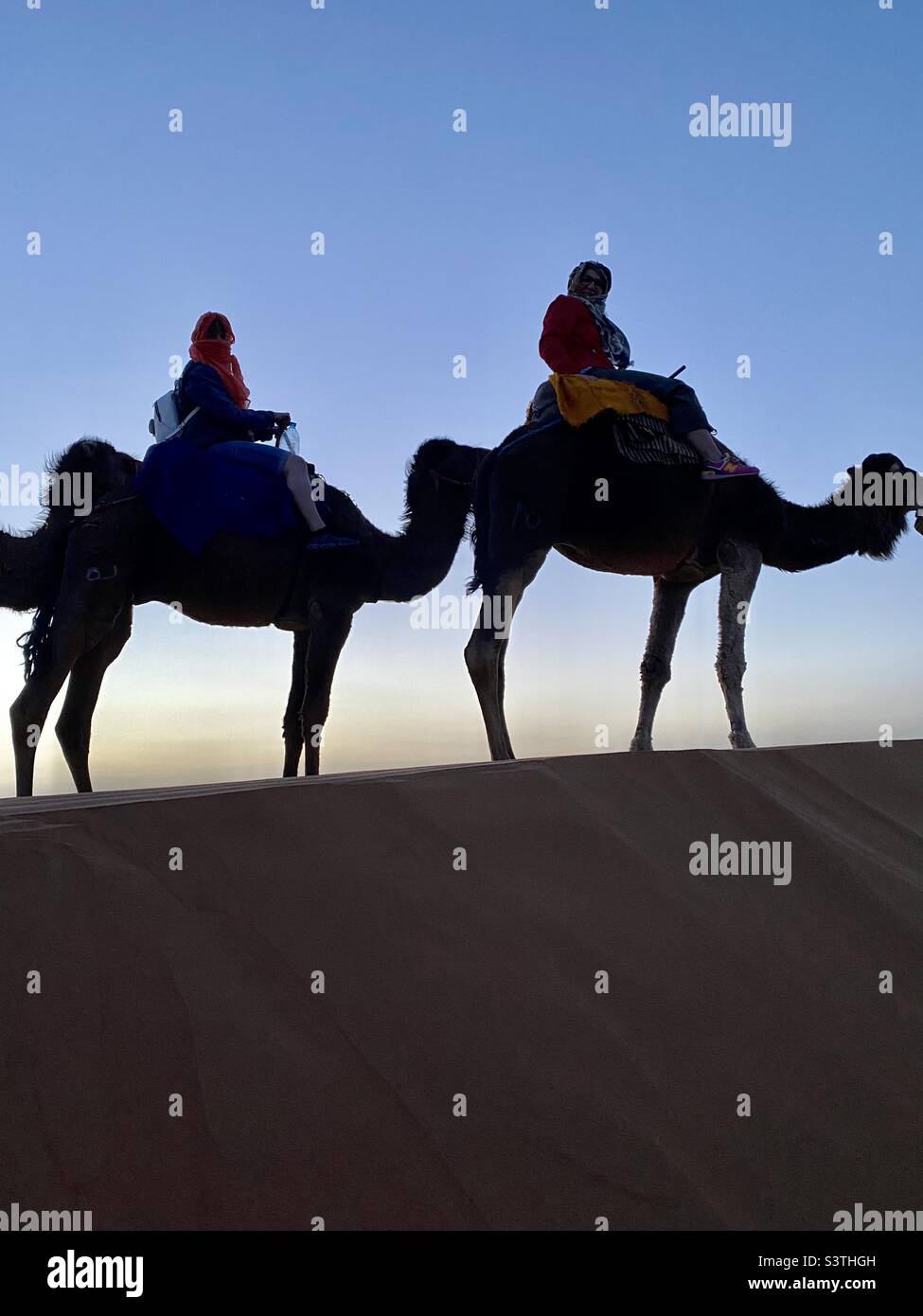 Silhouette di turisti che cavalcano cammello nel deserto marocchino, Marocco, Nord Africa Foto Stock