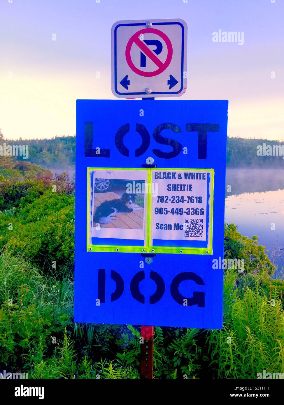 Fatti in casa Lost Dog segno migliorato, con codice QR, presso il lago, Halifax, Canada. Il canino che non è venuto a casa. Cane bianco e nero. Foto Stock