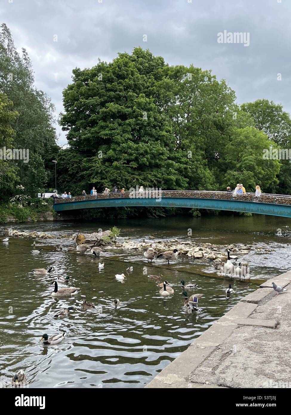 Ponte sul fiume Wye a Bakewell, Peak District Foto Stock