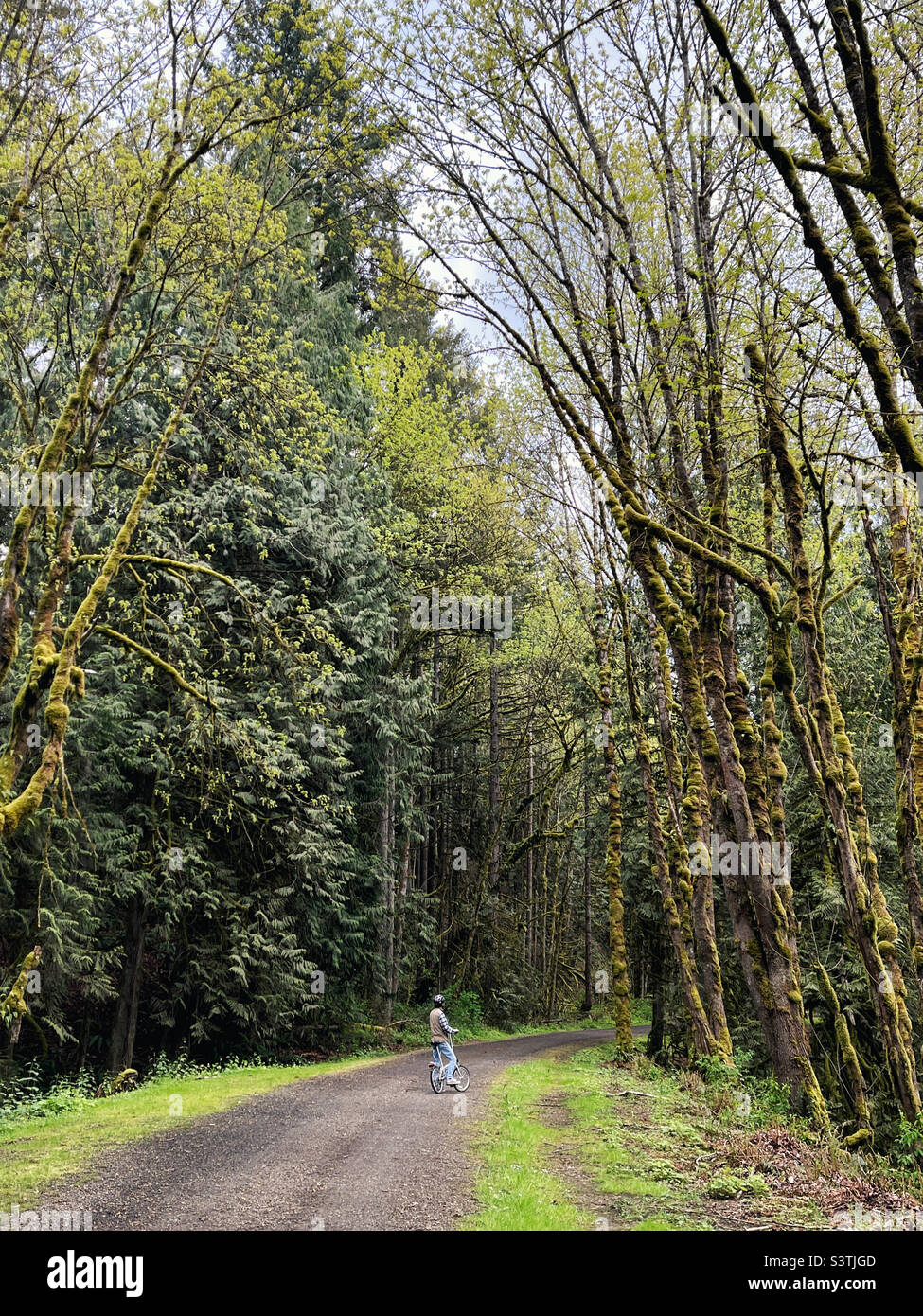 Escursione in bicicletta primaverile nei boschi Foto Stock