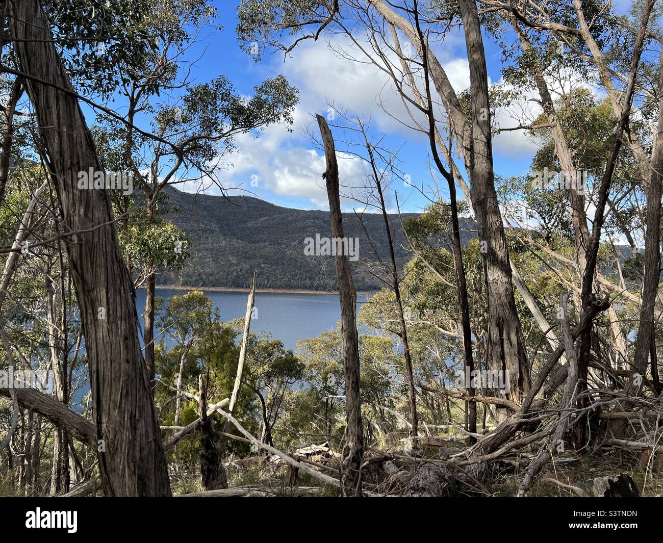 Lago e vista montagna - Immagine stock catturata con smartphone