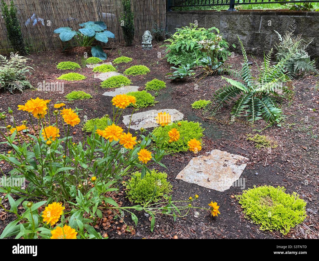 Un giardino d'ombra con felci, muschi, hostas, pietre e fiori. Foto Stock