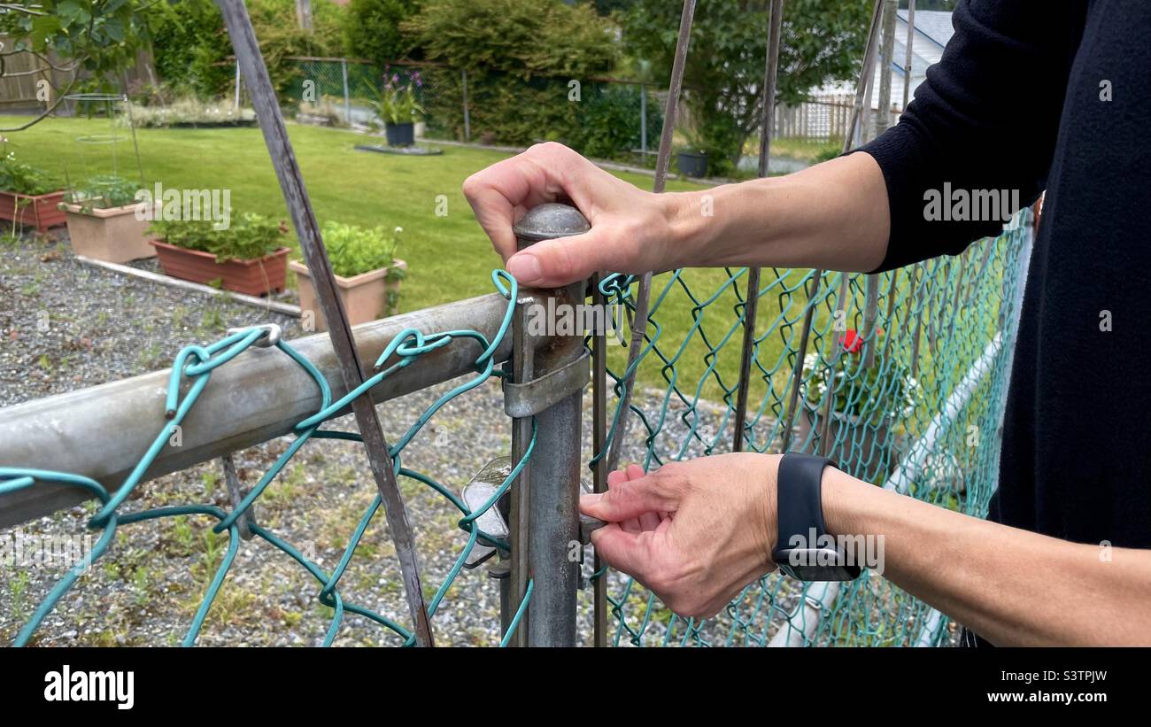 Persona che apre Fence Gate Foto Stock