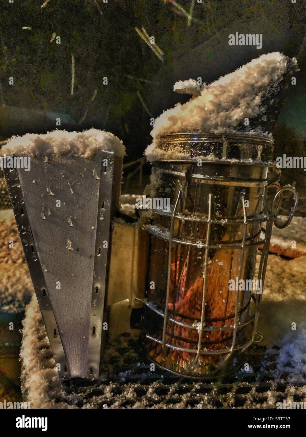 Il fumatore dell’apicoltore è fuori nella neve. Foto Stock