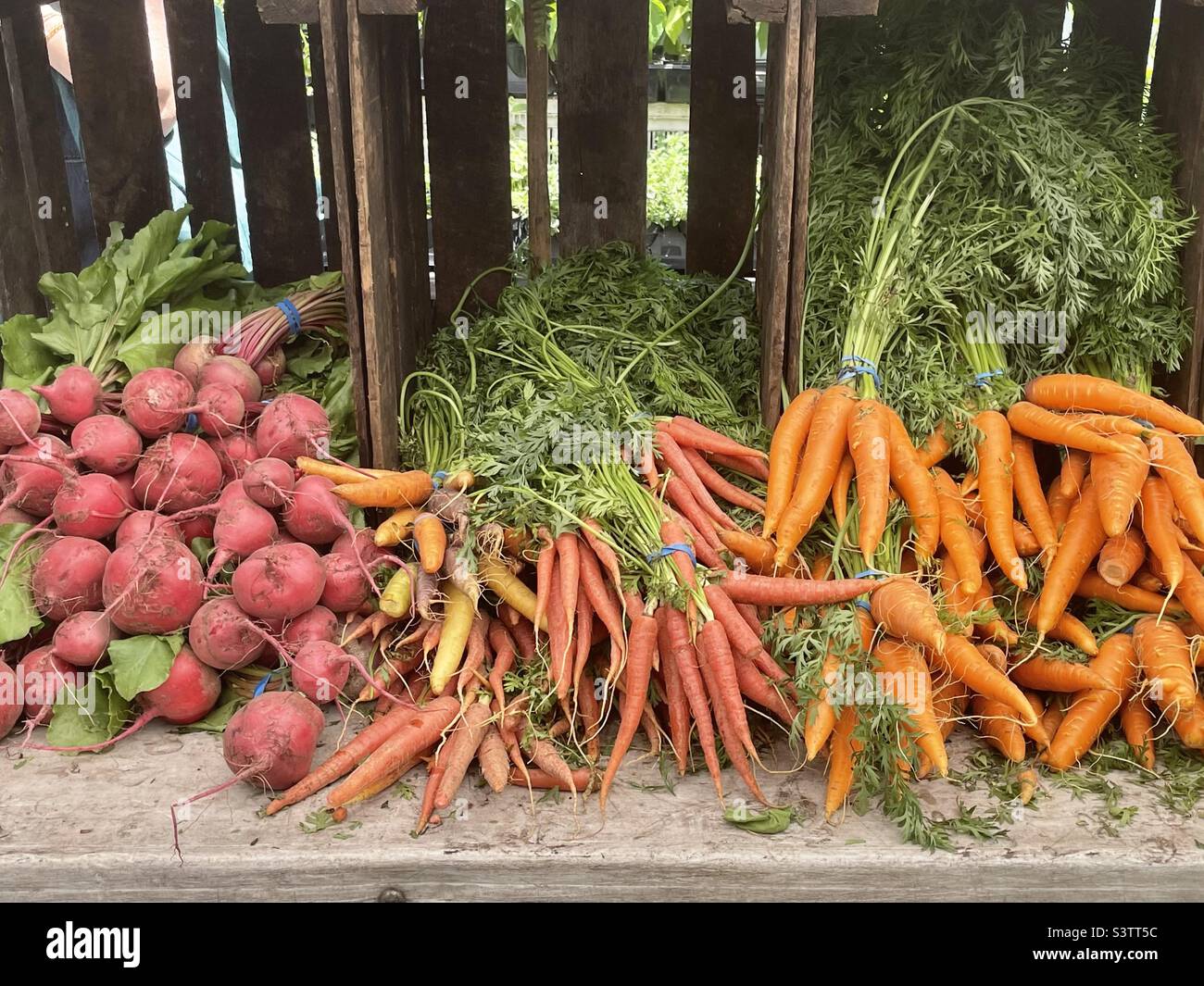 Ortaggi freschi in cassette di legno - Immagine stock catturata con smartphone