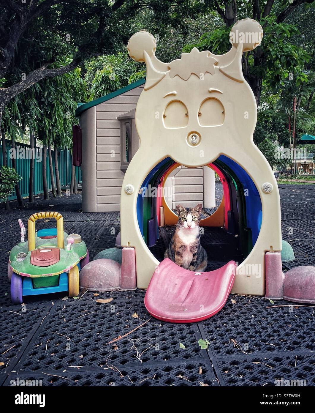 Un gatto in un parco giochi per bambini. Foto Stock