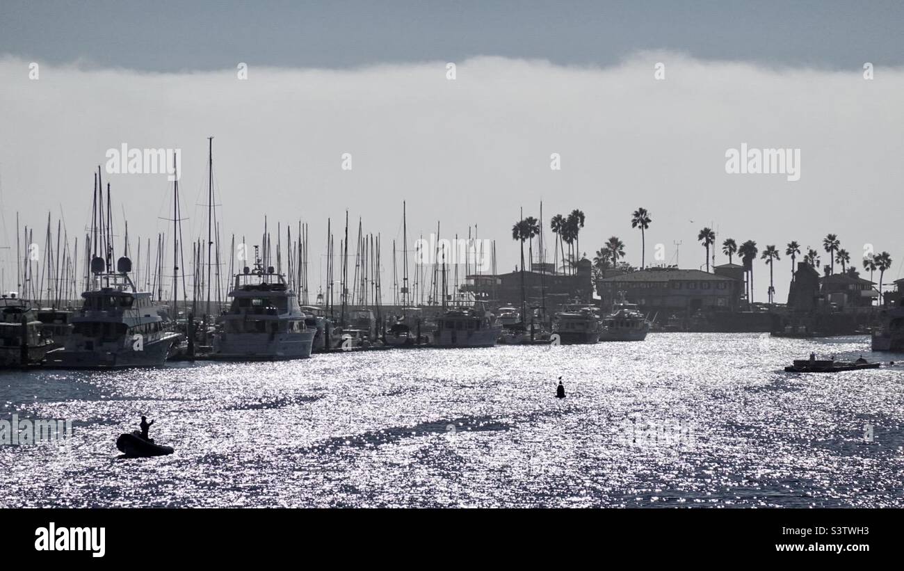 Barche con sagome nel porto con la nebbia marina dietro di loro, e il sole che si riflette in modo brillante al largo dell'Oceano Pacifico, Santa Barbara, California Foto Stock