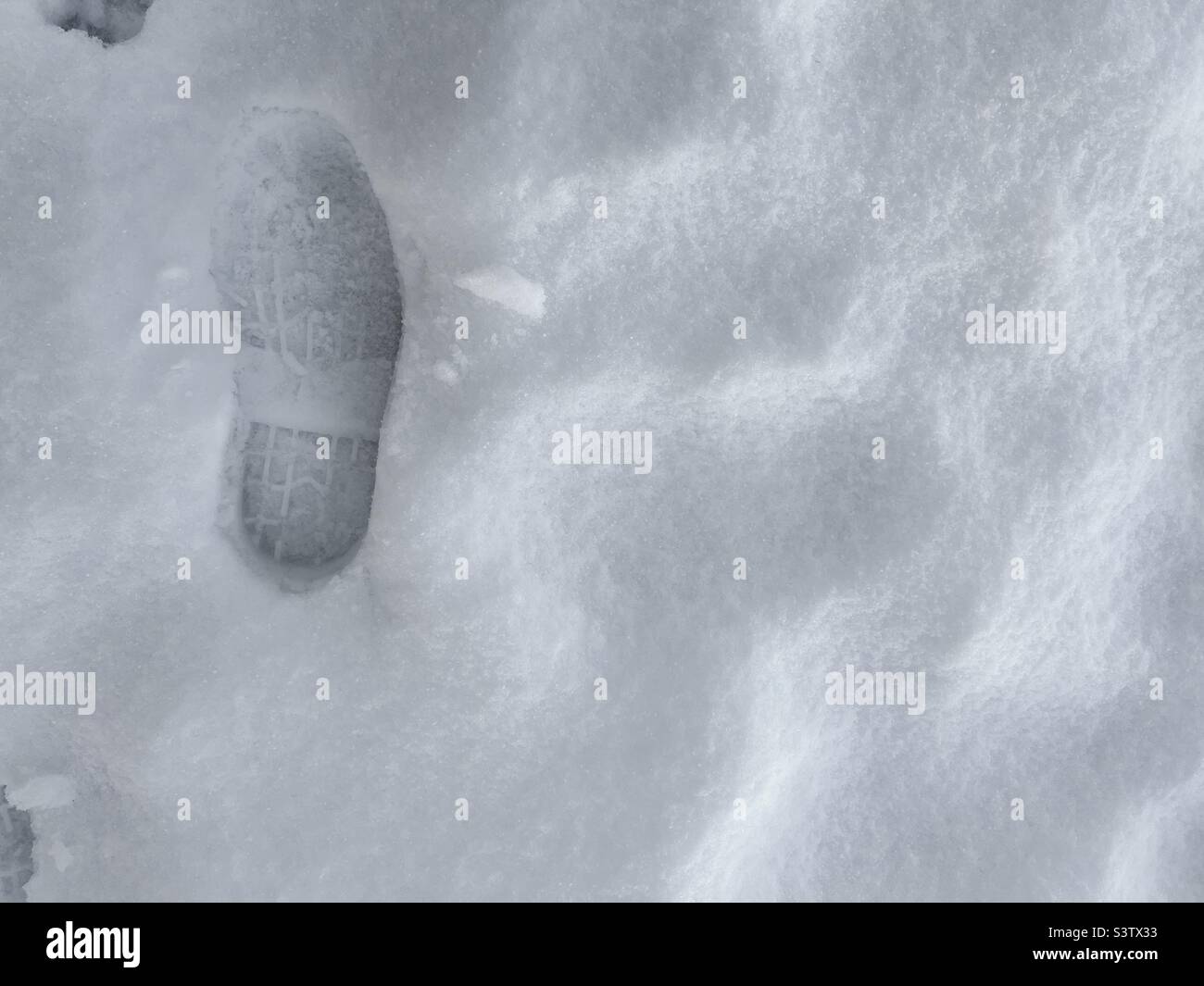 Primo piano su un'impronta rivolta verso l'alto, nella neve fresca con luce morbida, quasi senza ombre Foto Stock