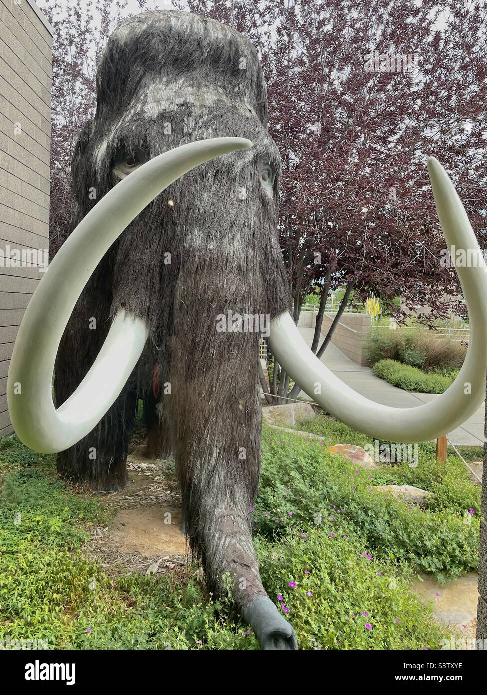 Un grande mammut di lana è stato ricreato per i turisti e può essere trovato in agguato intorno ai terreni del Dinosaur Museum a Vernal, Utah, USA. Foto Stock